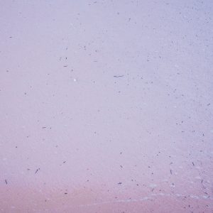 Summery Sand