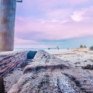 Under The Jetty