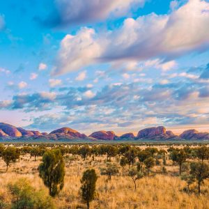 The Olgas