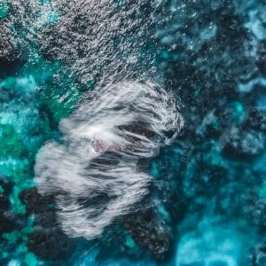 The S Wave